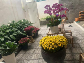 Secret Garden House